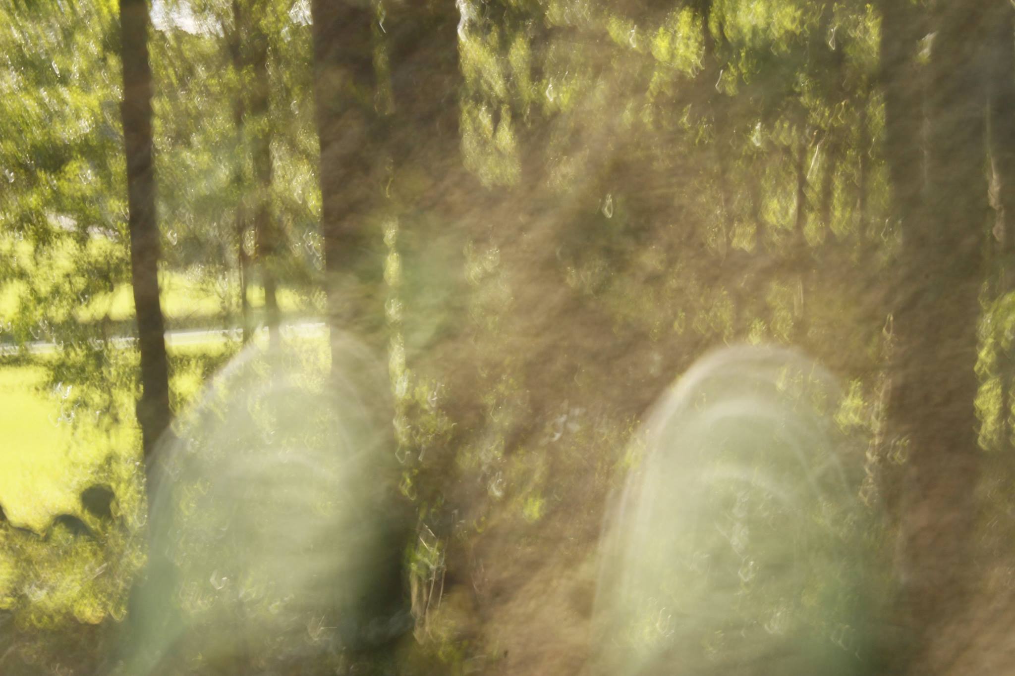 Foto von Wald und Schuhen